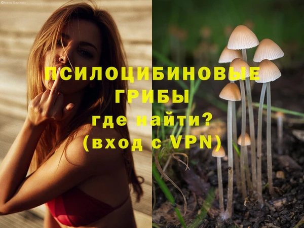 ECSTASY Абаза