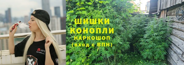 ECSTASY Абаза