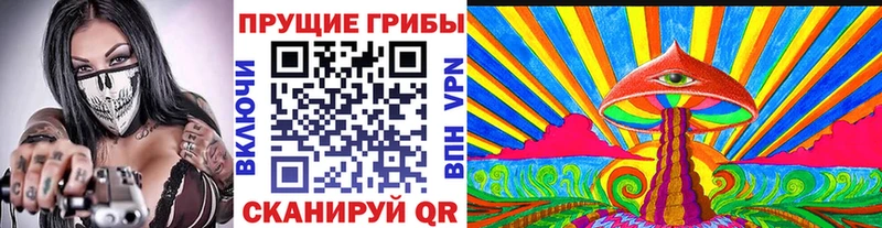 как найти наркотики  Альметьевск  даркнет наркотические препараты  Галлюциногенные грибы мицелий  ссылка на мегу сайт 